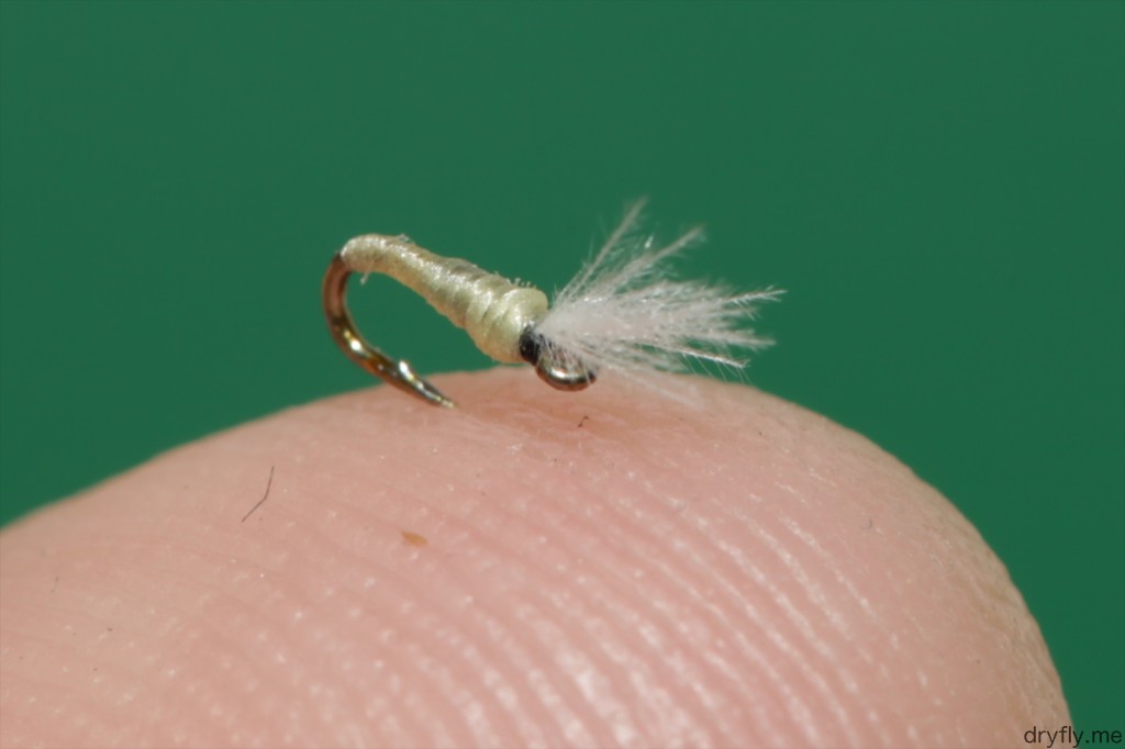 2013.04.dryfly.me.32_tiny_midge_adult_upright_finger