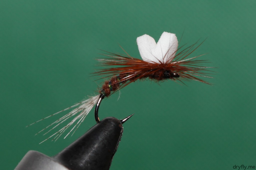 2013.05.dryfly.me.hatching_red