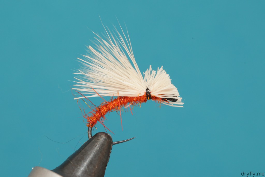 dryfly.me.2013.10.30.caddis_only_wing