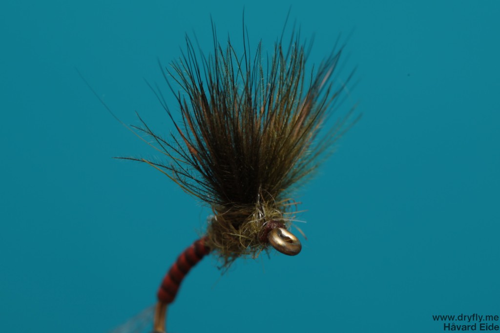 dryfly.me.2013.12.08.emerger_front
