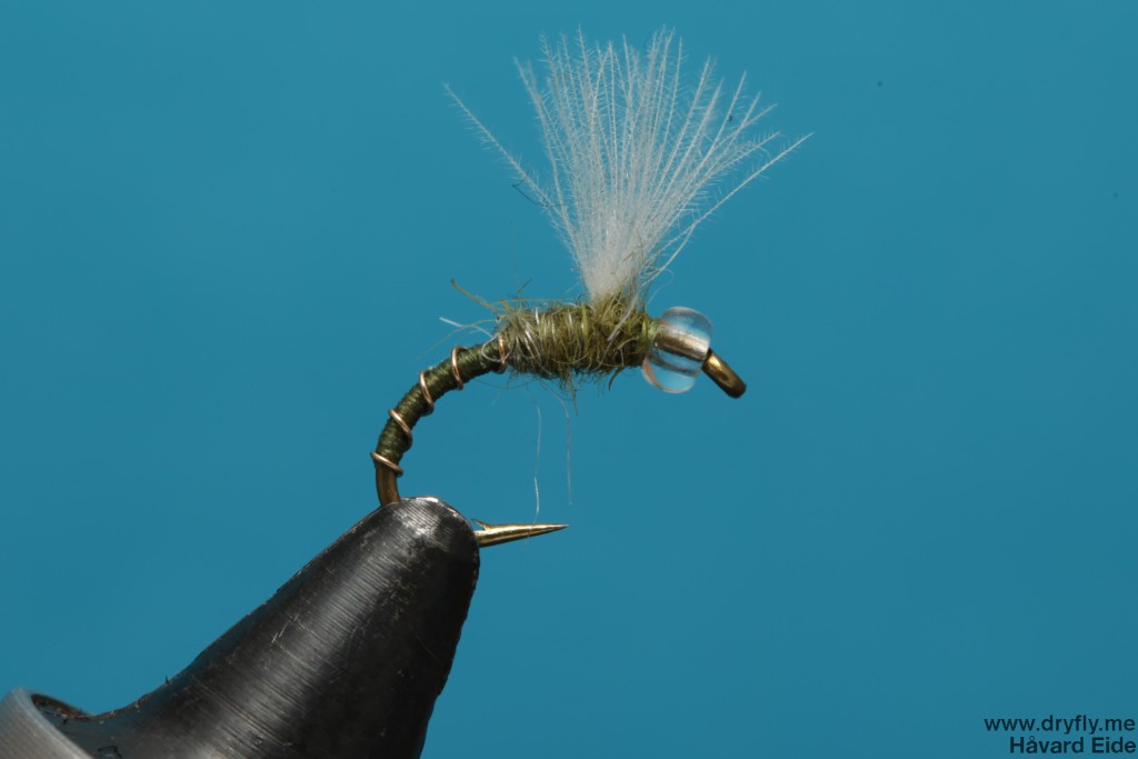 dryfly.me.2013.12.13.spring_creek_midge_1