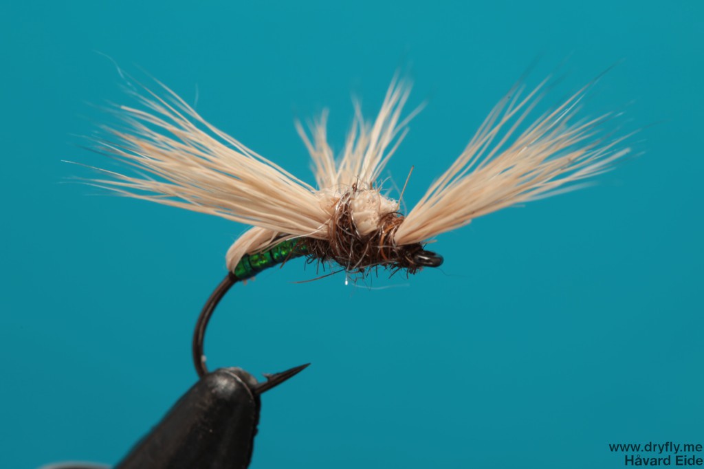 dryfly.me.2013.12.31.3-wing_front