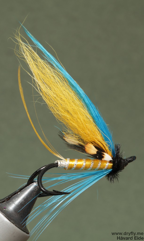 dryfly.me.2013.01.19.yellow_blue_double