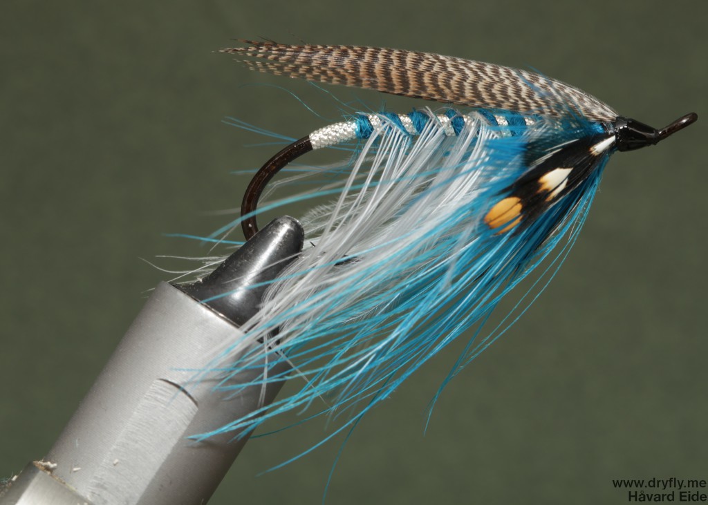 dryfly.me.2014-11.sky_is_the_limit