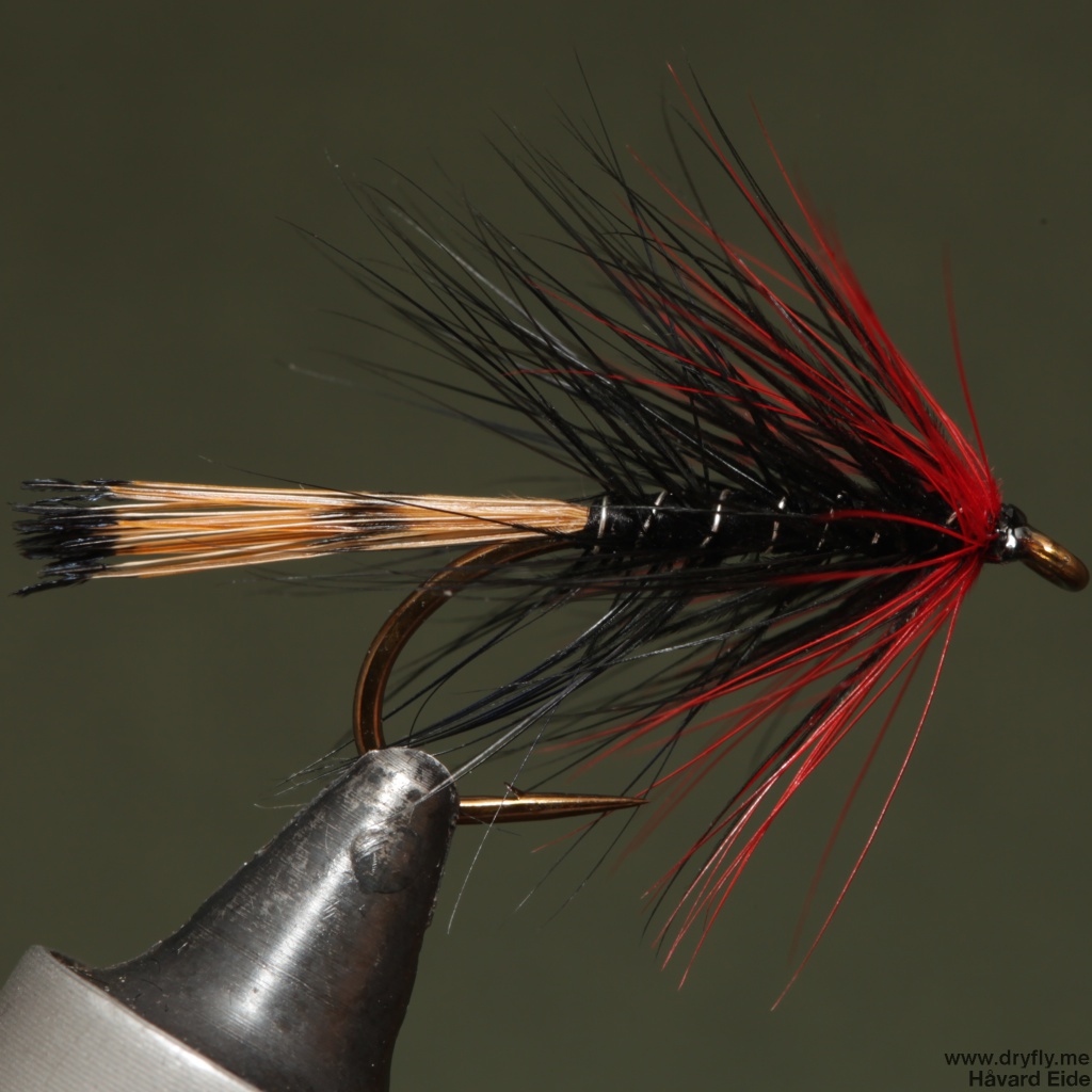 2014.10.28.dryfly.me.red_black_body_hackle