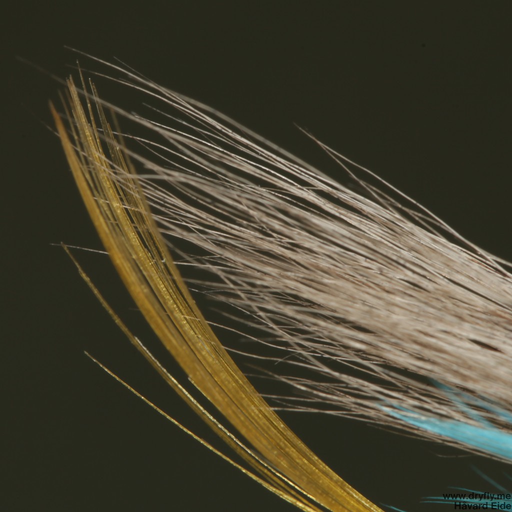 2014.12.29.dryfly.me.blue_charm_tail