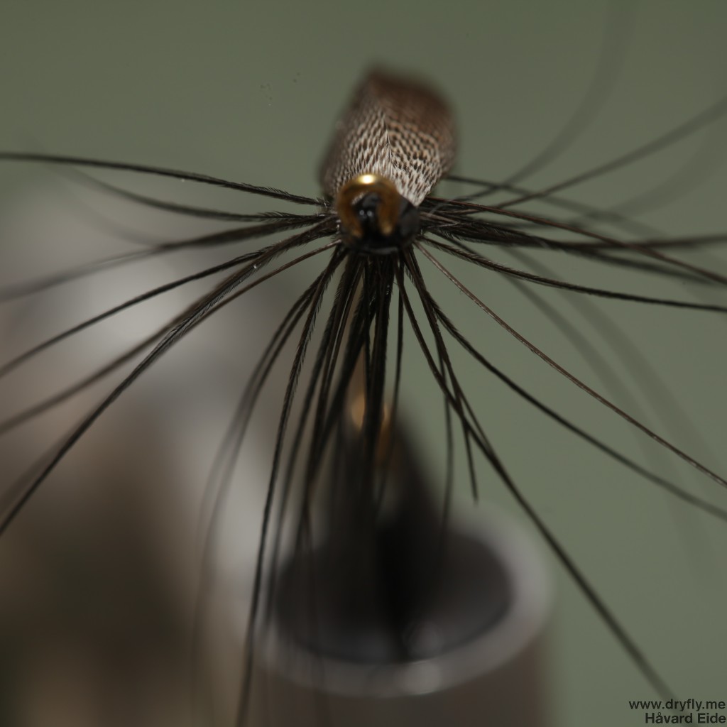 2015.01.24.dryfly.me.grey_but_spey_front