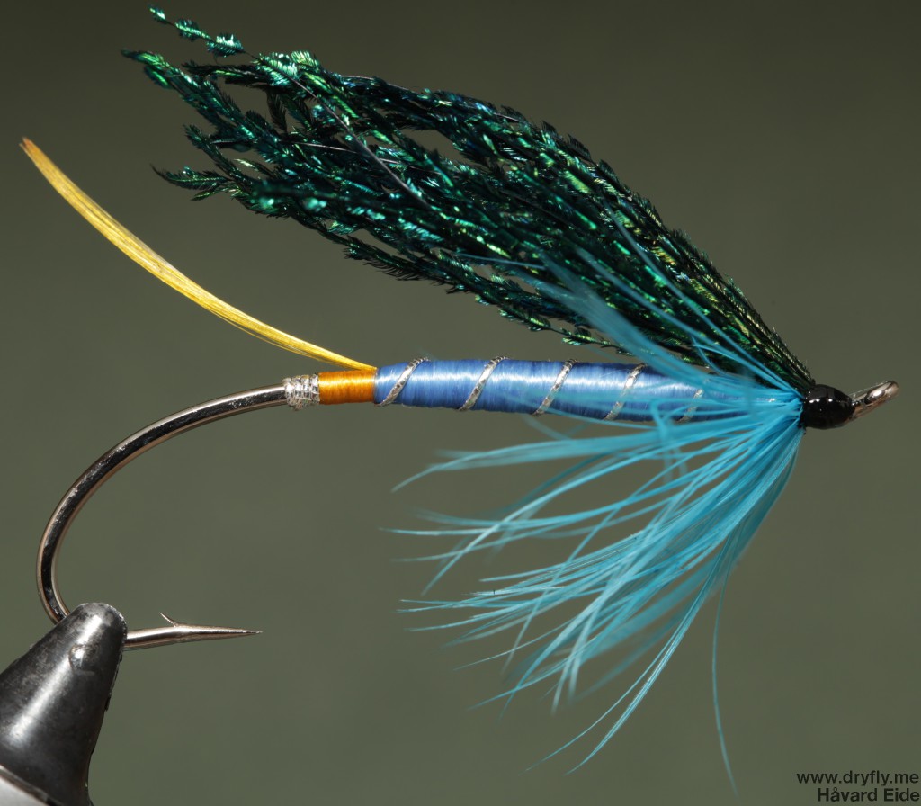 2015.02.15.dryfly.me.green_peacock