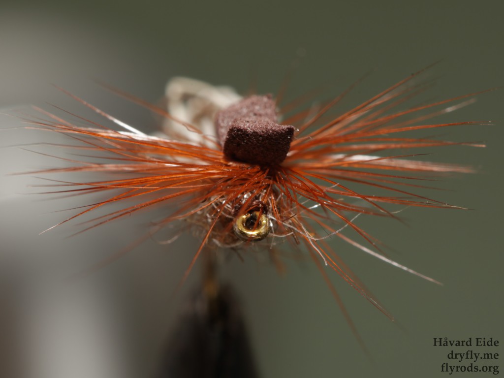 2015.04.25.dryfly.me_.caddis_front-1024x