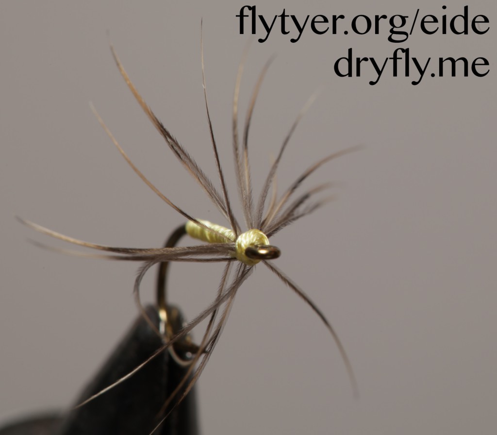 dryfly.me_.2016.05.03.yellow_spider_fron