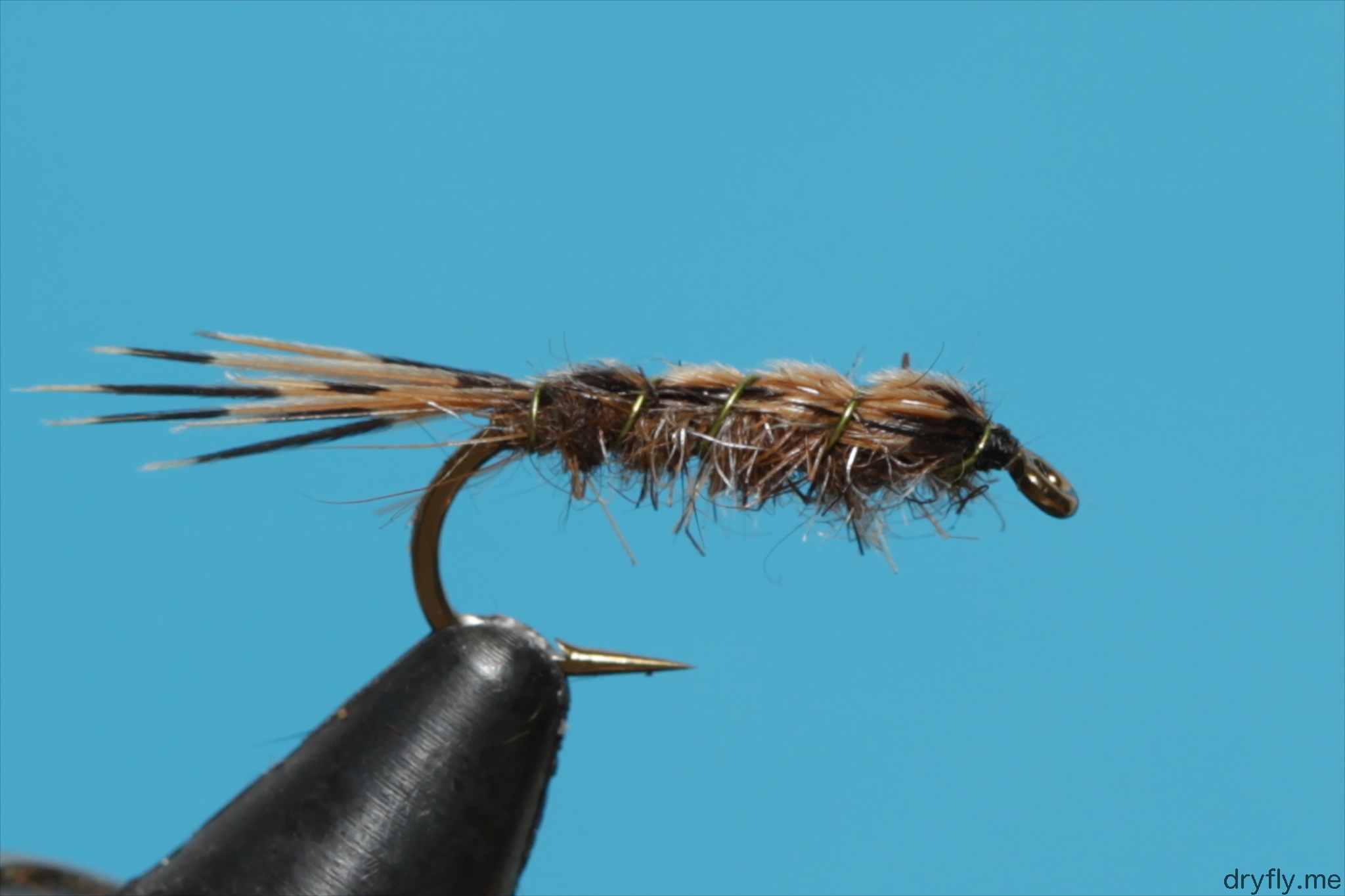Simple Pheasant Tail Nymph | flyfisher.org
